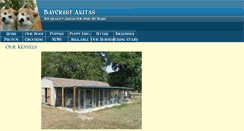 Desktop Screenshot of baycrestakitas.com