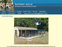 Tablet Screenshot of baycrestakitas.com